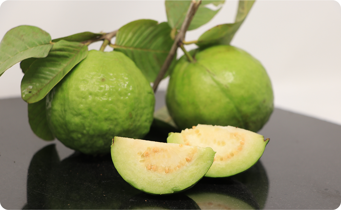 Fruit